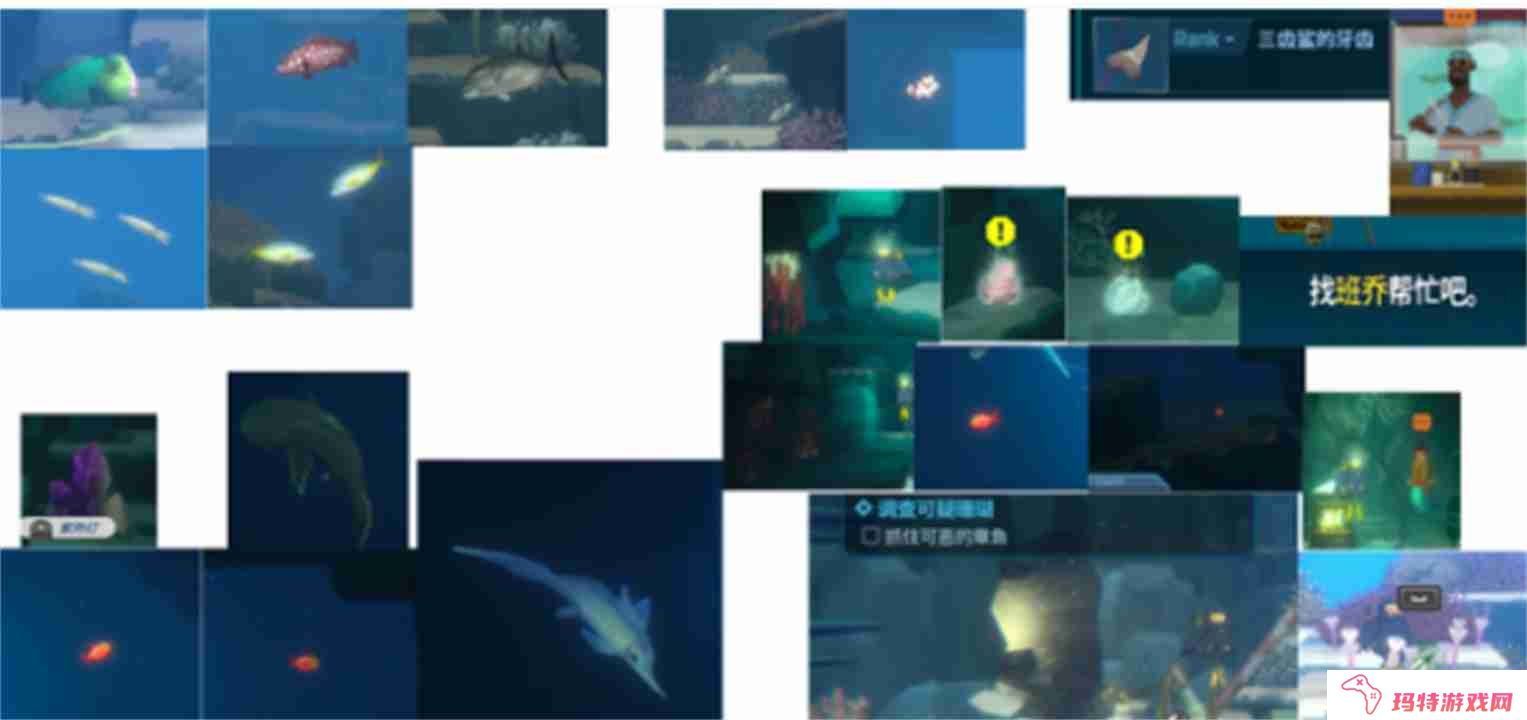 潜水员戴夫养鱼场配置方案介绍 潜水员戴夫养鱼场如何配置