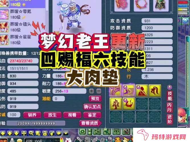 梦幻西游手游血宠兽决选择与资源管理攻略